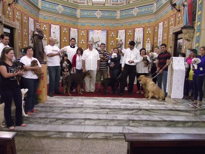 Animais domésticos recebem benção no Dia de São Francisco de Assis em Barretos